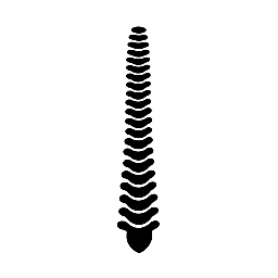 Spine Care of El Paso | OWCP Physical Therapy & Injury Care